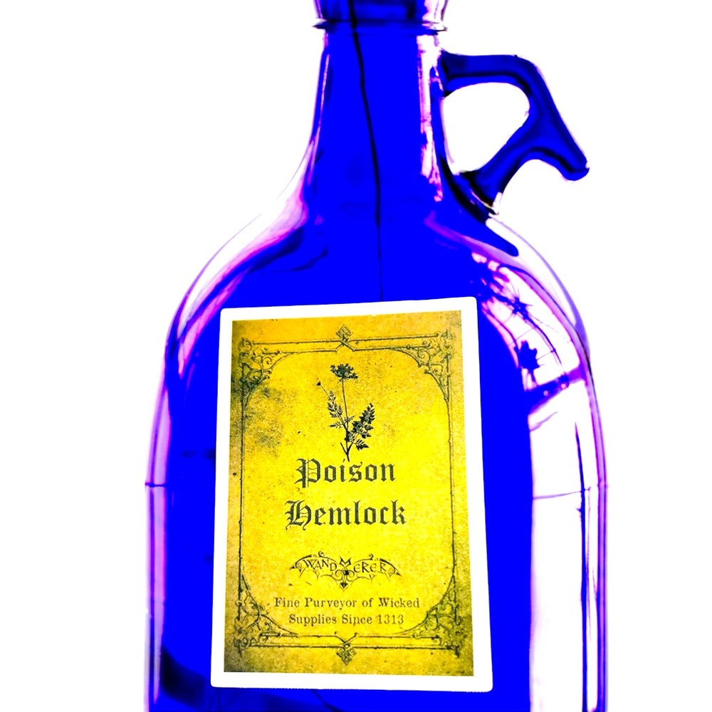 Poison Hemlock Witchy Sorceress Supreme Potion B0ttle Label Sticker